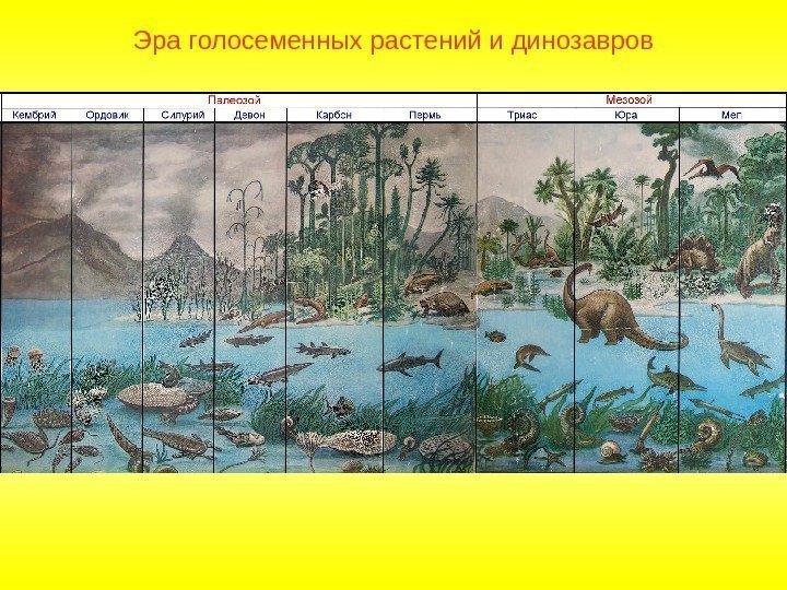 Эра голосеменных растений и динозавров 