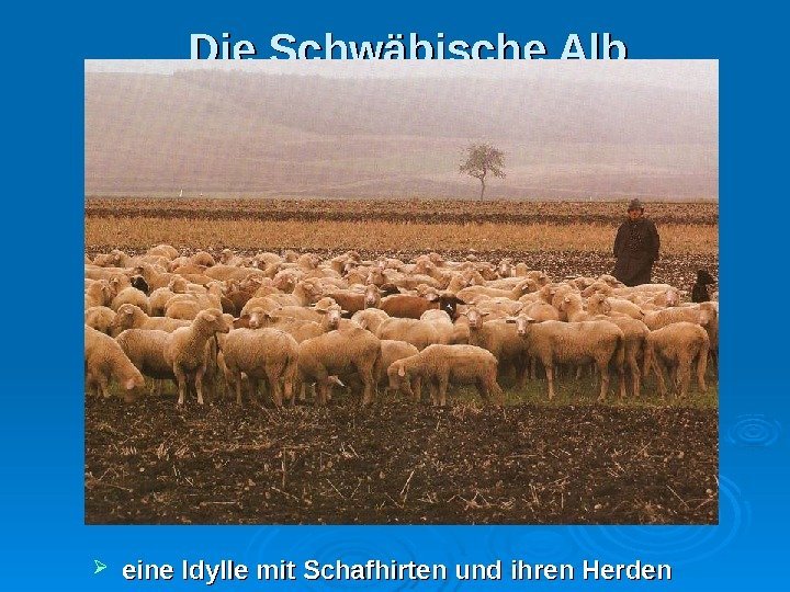 Die Schwäbische Alb eine Idylle mit Schafhirten und ihren Herden 