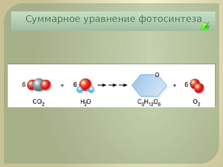 Суммарное уравнение фотосинтеза 