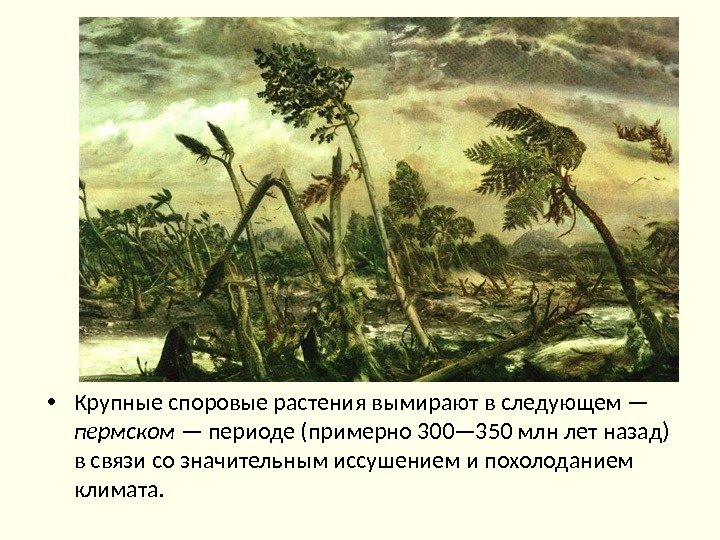  • Крупные споровые растения вымирают в следующем — пермском — периоде (примерно 300—