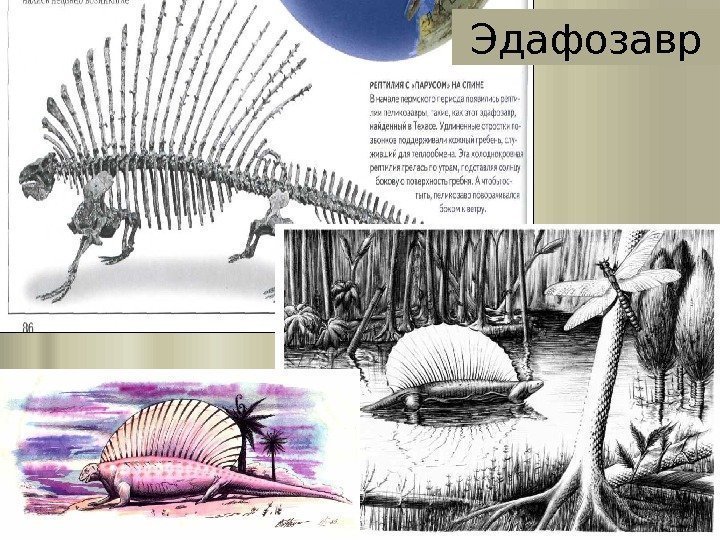 Эдафозавр 