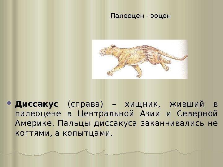 Палеоцен - эоцен Диссакус (справа) – хищник,  живший в палеоцене в Центральной Азии
