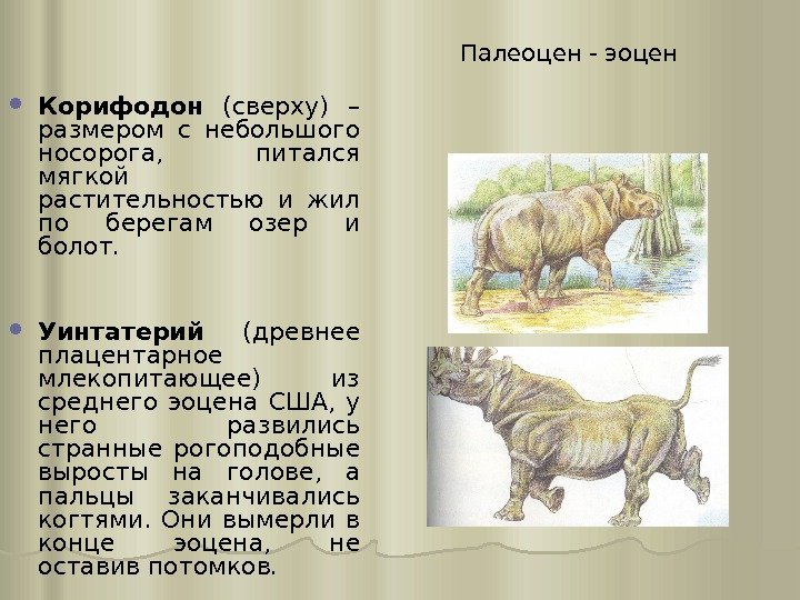 Палеоцен - эоцен Корифодон  (сверху) – размером с небольшого носорога,  питался мягкой