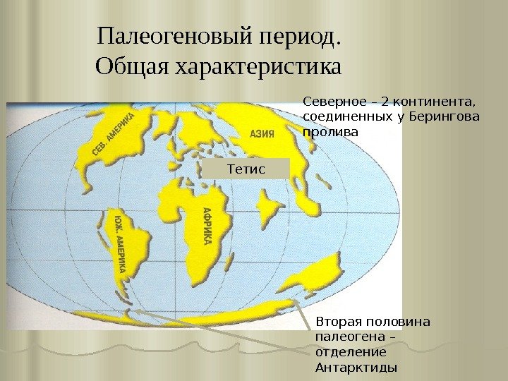 Палеогеновый период. Общая характеристика Вторая половина палеогена – отделение Антарктиды. Северное – 2 континента,