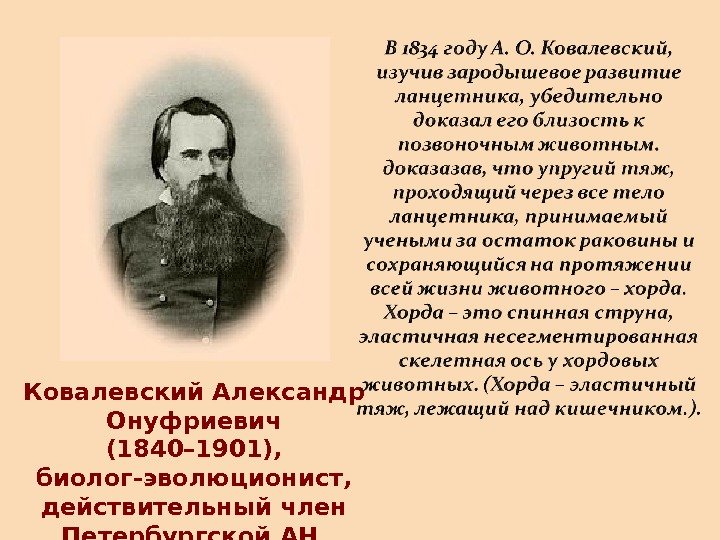 Ковалевский Александр Онуфриевич (1840– 1901),  биолог-эволюционист,  действительный член Петербургской АН 