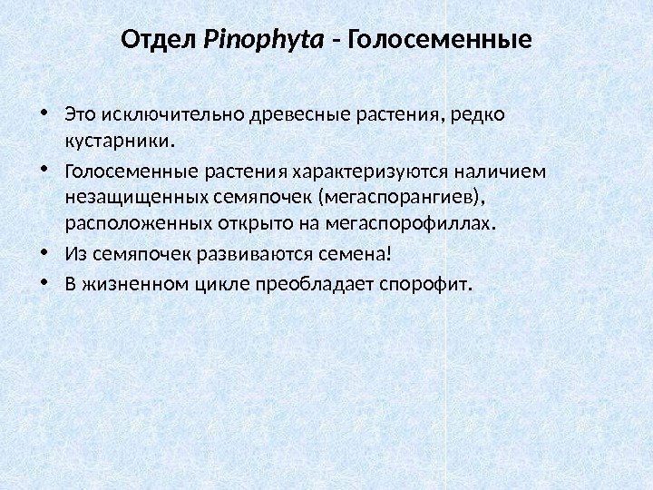 Отдел Pinophyta - Голосеменные • Это исключительно древесные растения, редко кустарники.  • Голосеменные