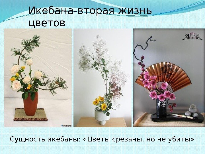 Сущность икебаны:  «Цветы срезаны, но не убиты» Икебана-вторая жизнь цветов 