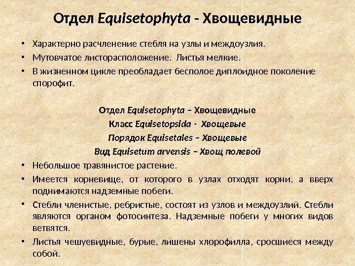 Отдел Equisetophyta - Хвощевидные • Характерно расчленение стебля на узлы и междоузлия.  •