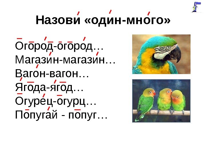 Назови «один-много» Огород-огород… Магазин-магазин… Вагон-вагон… Ягода-ягод… Огурец-огурц… Попугай - попуг… 