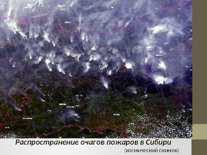 Распространение очагов пожаров в Сибири        (космический снимок)