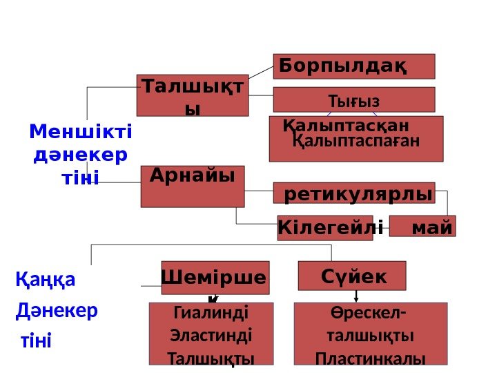 Қаңқа Дәнекер  тіні Қалыптаспаған. Талшықт ы Арнайы Сүйек Шемірше к Гиалинді Эластинді Талшықты