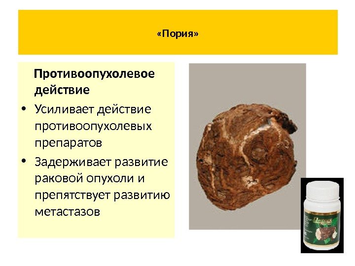  «Пория»  Противоопухолевое действие • Усиливает действие противоопухолевых препаратов • Задерживает развитие раковой