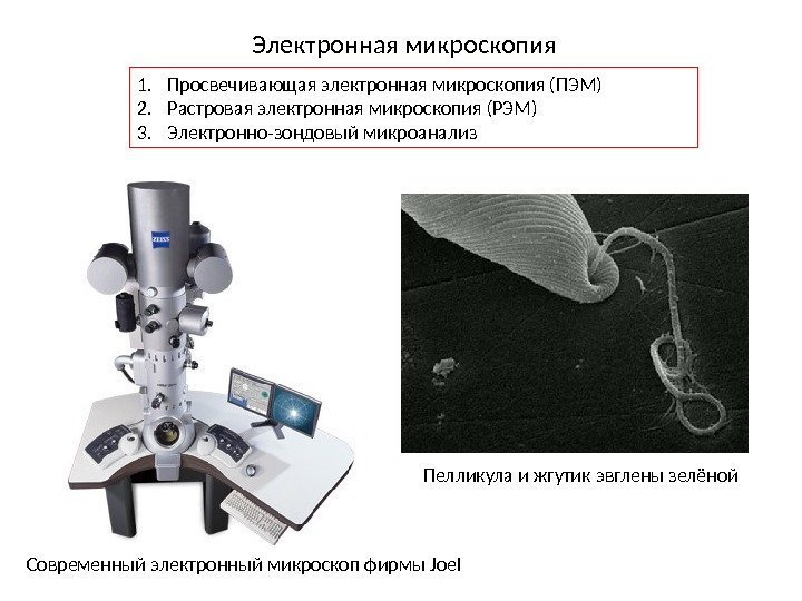 Электронная микроскопия 1. Просвечивающая электронная микроскопия (ПЭМ) 2. Растровая электронная микроскопия (РЭМ) 3. Электронно-зондовый