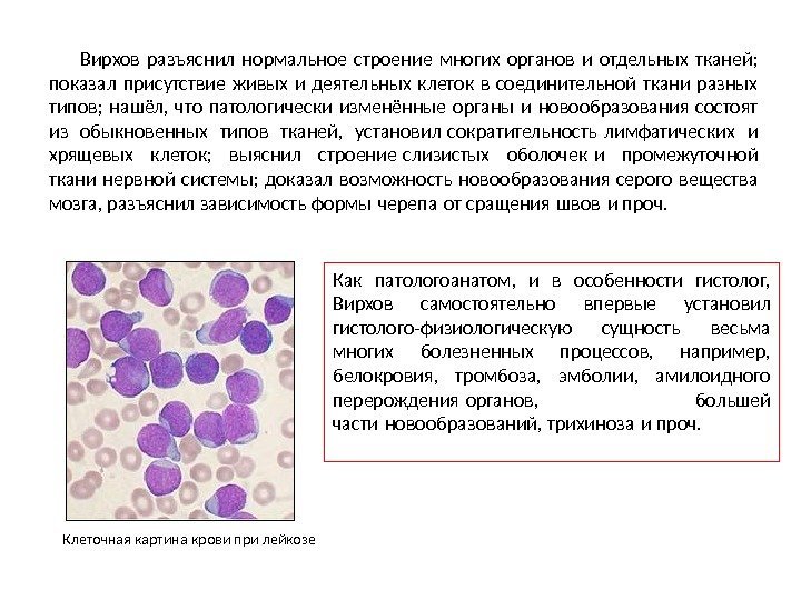 Строение многих. Лепрозные клетки Вирхова. Патологически измененные клетки. Зарисовка патологически изменённых тканей и органов. Клетки, характерные для лепромы:.