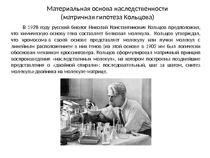  В 1928 году русский биолог Николай Константинович Кольцов предположил,  что химическую основу