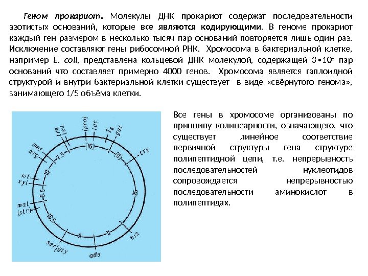 Геном прокариот.  Молекулы ДНК прокариот содержат последовательности азотистых оснований,  которые все являются