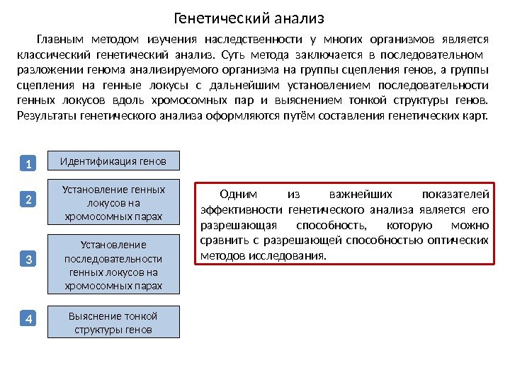 Генетический анализ Главным методом изучения наследственности у многих организмов является классический генетический анализ. 