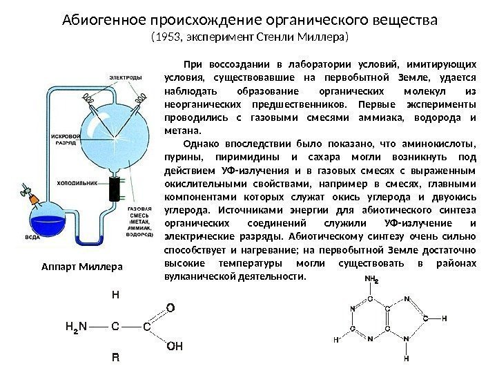 Абиогенное происхождение органического вещества (1953, эксперимент Стенли Миллера) При воссоздании в лаборатории условий, 