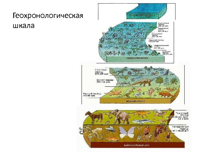 Геохронологическая шкала 