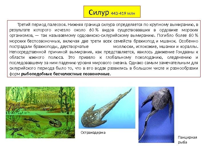 Силур 443 -419 млн Третий период палеозоя. Нижняя граница силура определяется по крупному вымиранию,