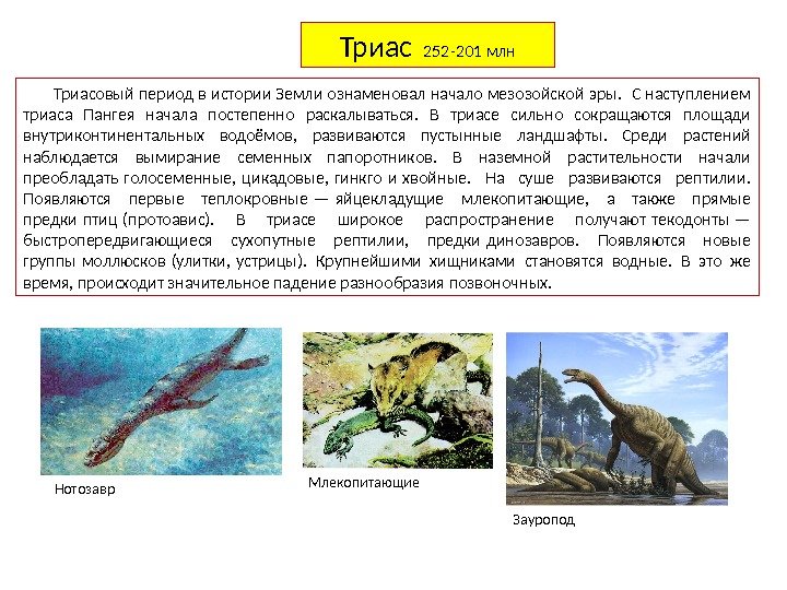 Триас  252 -201 млн Триасовый период в истории Земли ознаменовал начало мезозойской эры.