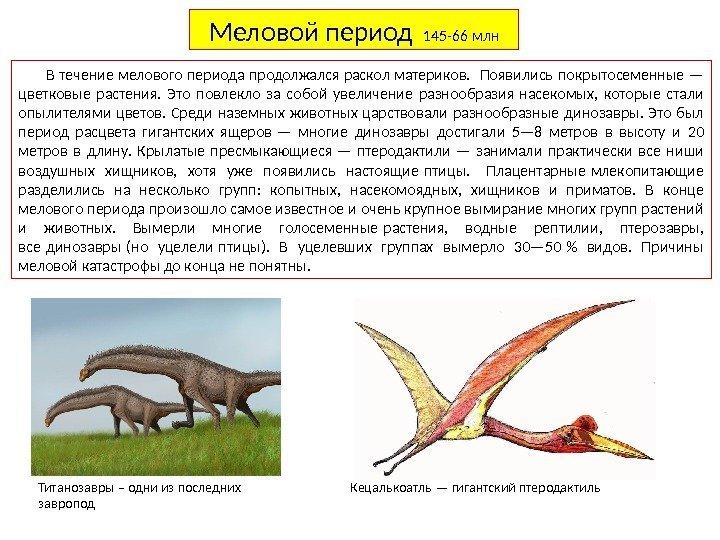 Меловой период  145 -66 млн В течение мелового периода продолжался раскол материков. 