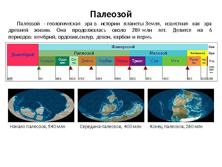 Палеозой - геологическая эра в истории планеты Земля,  известная как эра  древней