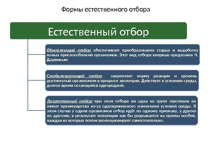 Формы естественного отбора Естественный отбор Обновляющий отбор  обеспечивает преобразование старых и выработку новых