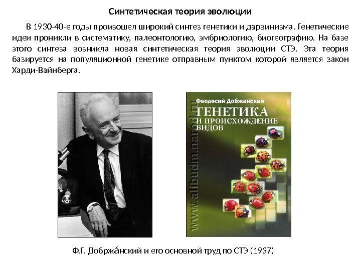 Синтетическая теория эволюции В 1930 -40 -е годы произошел широкий синтез генетики и дарвинизма.