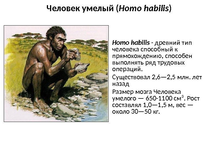 Homo habilis - древний тип человека способный к прямохождению, способен выполнять ряд трудовых операций.