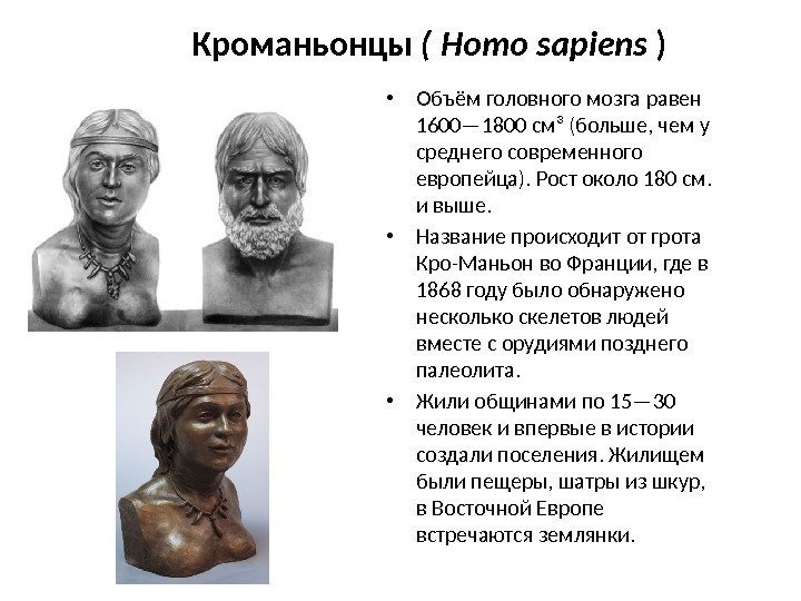 Кроманьонцы ( Homo sapiens ) • Объём головного мозга равен 1600— 1800 см³ (больше,