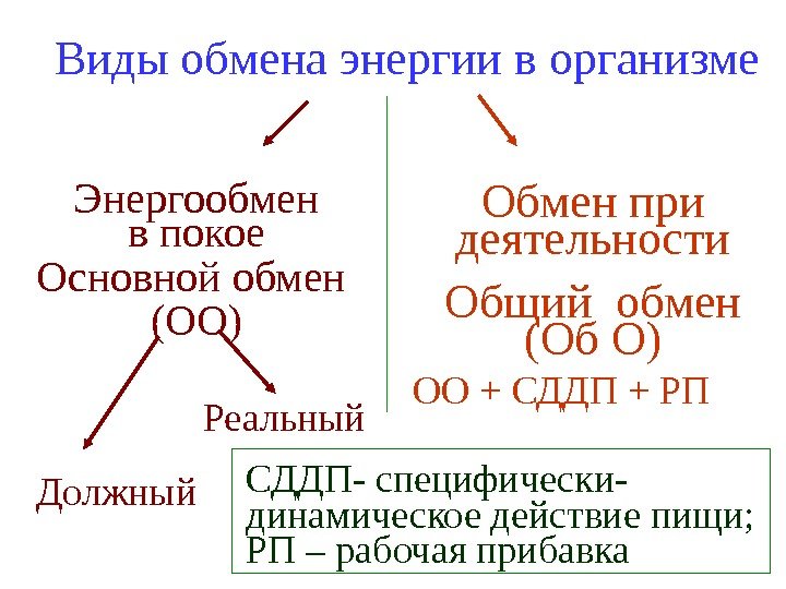   Виды обмена энергии в организме Энергообмен в покое Основной обмен (ОО) Должный