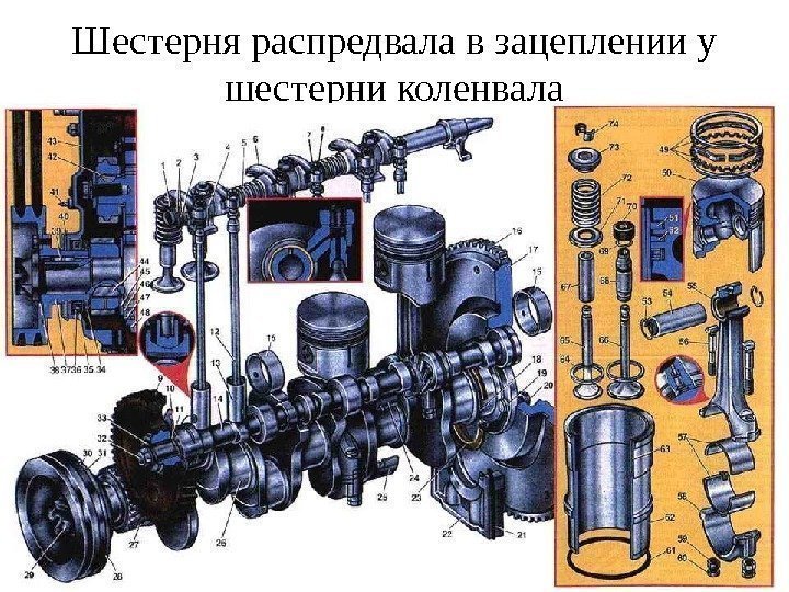 Шестерня распредвала в зацеплении у шестерни коленвала 