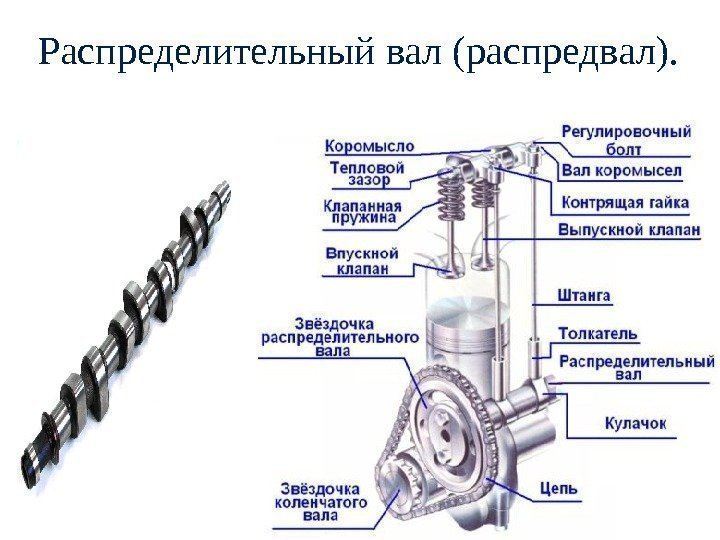 Распределительный вал ( распредвал).  