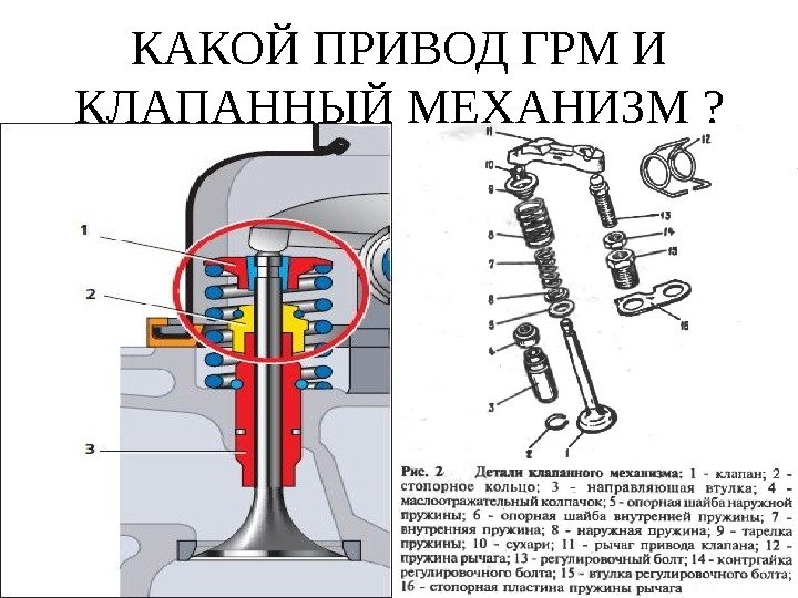 КАКОЙ ПРИВОД ГРМ И КЛАПАННЫЙ МЕХАНИЗМ ? 