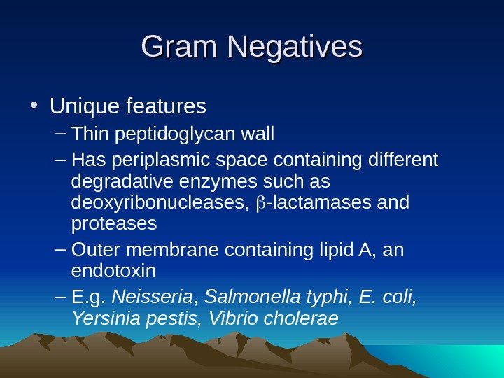 Gram Negatives • Unique features – Thin peptidoglycan wall – Has periplasmic space containing