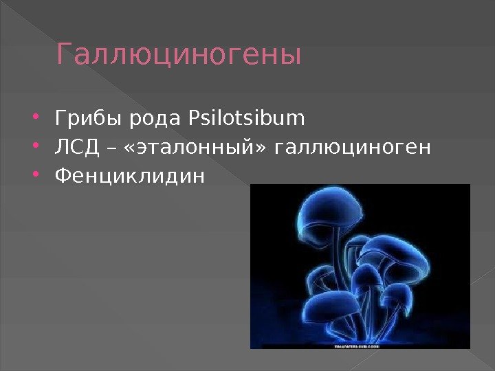 Галлюциногены  Грибы рода Psilotsibum ЛСД – «эталонный» галлюциноген  Фенциклидин 