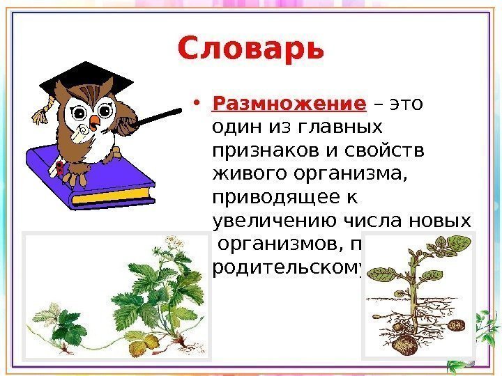 Что такое размножение