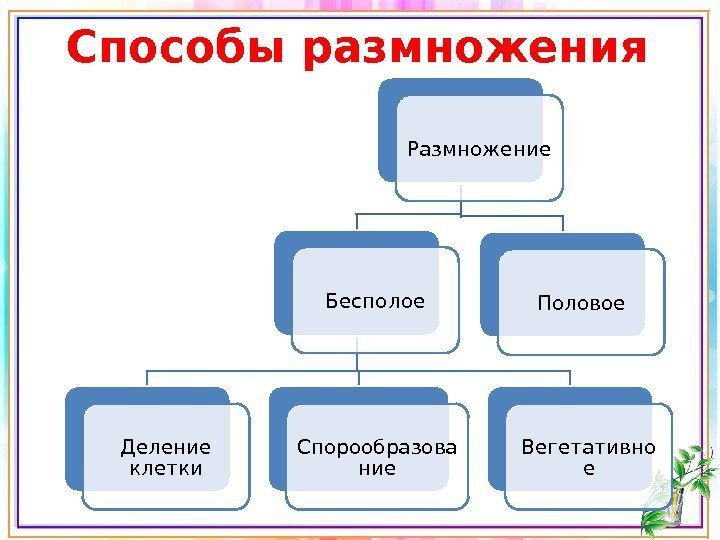 Способы размножения