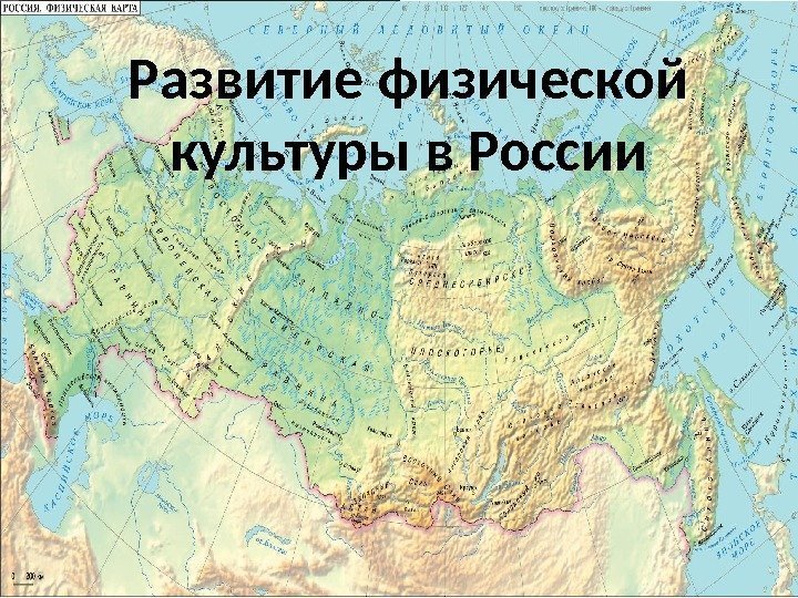 История развития физической культуры в россии проект