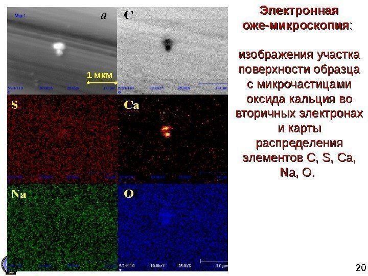 20 Электронная оже-микроскопия : :  изображения участка поверхности образца с микрочастицами оксида кальция