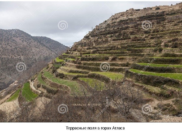 Террасные поля в горах Атласа 