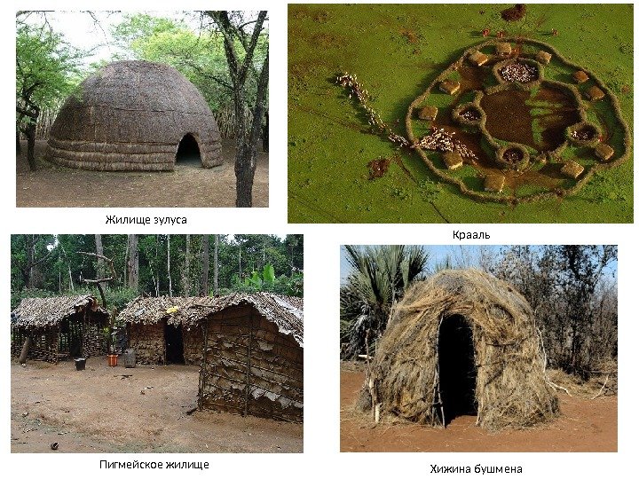 Жилище зулуса Крааль Хижина бушмена. Пигмейское жилище 
