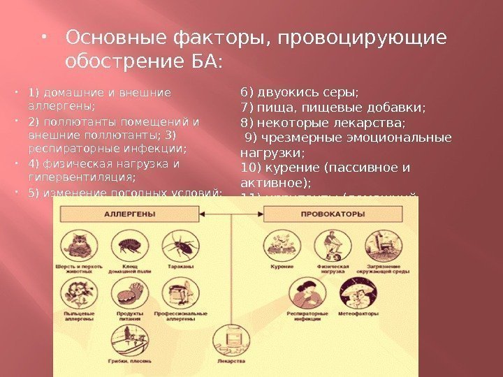  1) домашние и внешние аллергены;  2) поллютанты помещений и внешние поллютанты; 3)