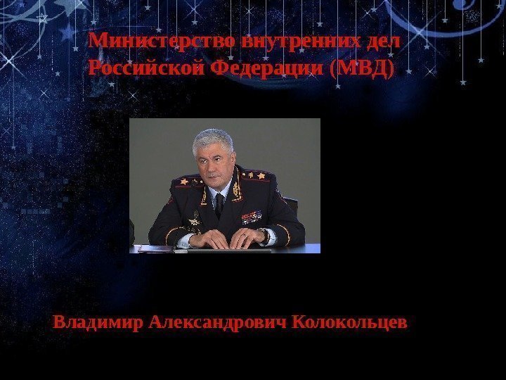 Владимир Александрович Колокольцев Министерство внутренних дел Российской Федерации (МВД) 