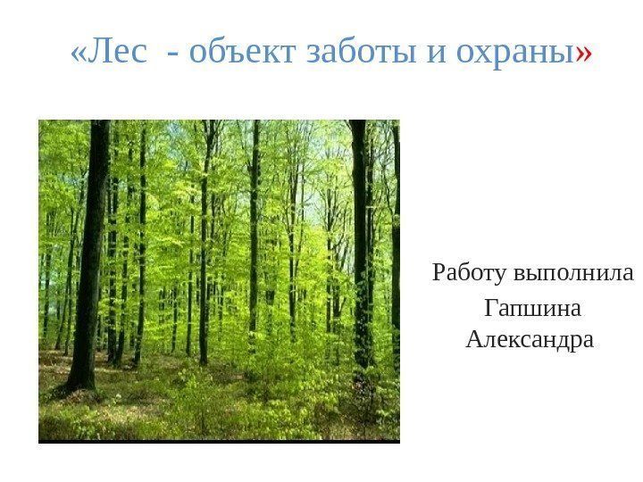  «Лес - объект заботы и охраны » Работу выполнила Гапшина Александра 
