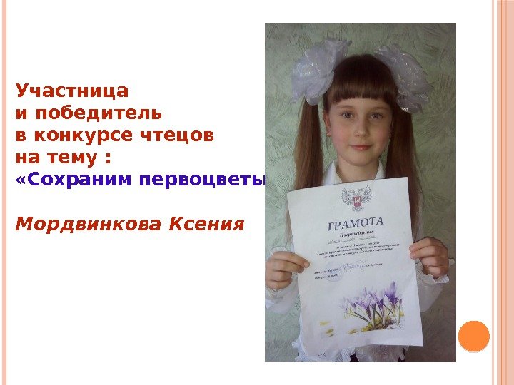 Участница и победитель в конкурсе чтецов на тему :  «Сохраним первоцветы» Мордвинкова Ксения