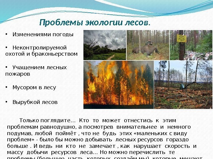 Проблемы экологии лесов.  • Изменениями погоды • Неконтролируемой охотой и браконьерством • Учащением