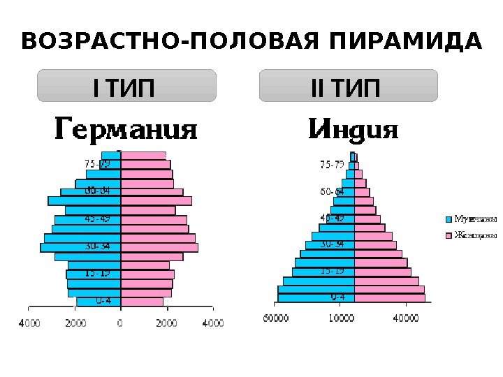 ВОЗРАСТНО-ПОЛОВАЯ ПИРАМИДА I ТИП  II ТИП  