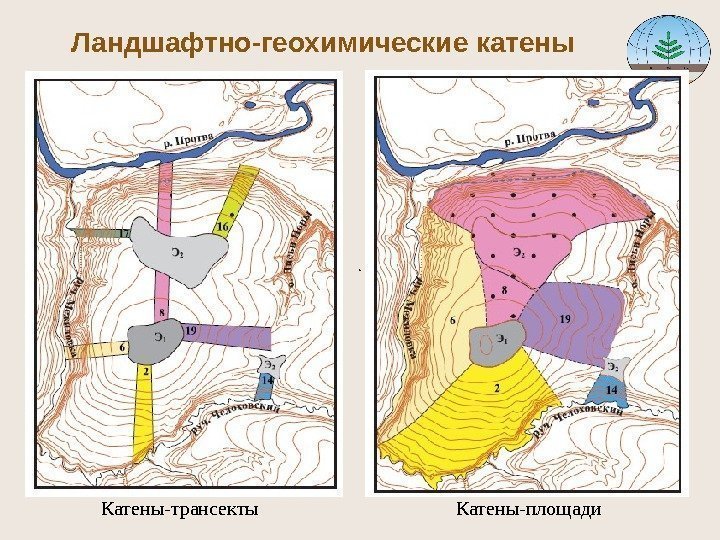 Ландшафтно-геохимические катены Катены-трансекты Катены-площади 